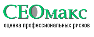 сеомакс оценка профисков экспертная организация